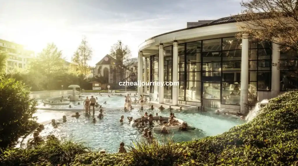 تكلفة العلاج في المانيا